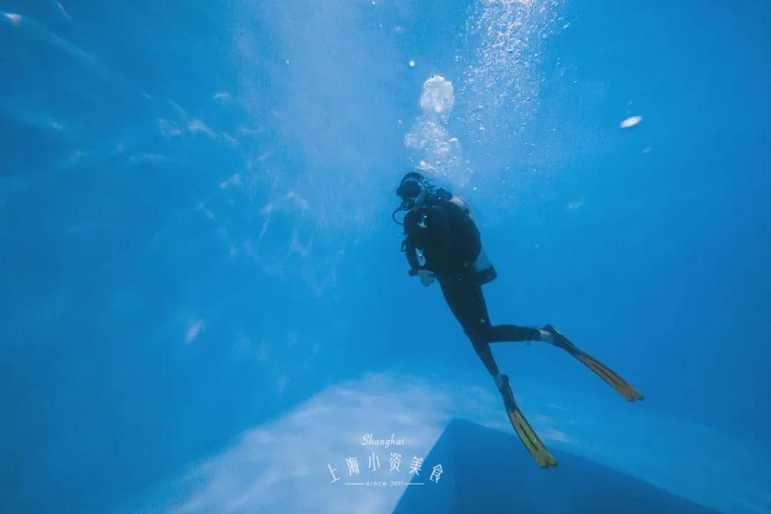 全民烧脑3去广告版