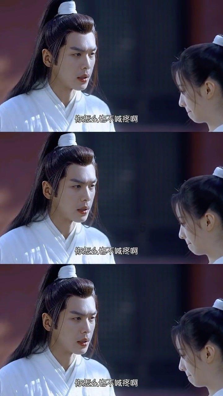 动物帮帮忙保卫家园